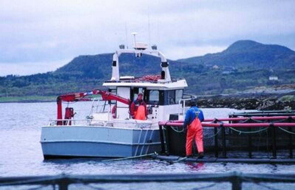 Marine Harvest