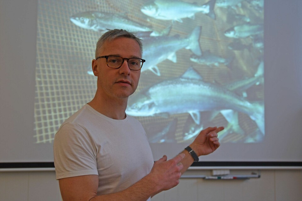 Forsker Lars Qviller har undersøkt effektene av koordinert brakklegging for å redusere mengden lus. Foto: Mari M. Press / Veterinærinstituttet
