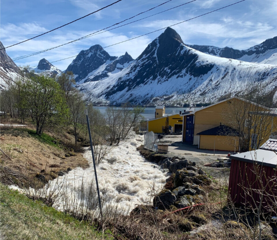 Akvafarm anlegget fikk i går store vannmasser inntil anlegget sitt grunnet et snøskred i området. Vannmassene gjorde at det kunne gå galt for smoltproduksjonen deres, men situasjonen er nå under kontroll ifølge daglig leder. Foto: Odd Steinar Olsen Akvafarm anlegget fikk i går store vannmasser inntil anlegget sitt grunnet et snøskred i området. Vannmassene gjorde at det kunne gå galt for smoltproduksjonen deres, men situasjonen er nå under kontroll ifølge daglig leder. Foto: Odd Steinar Olsen