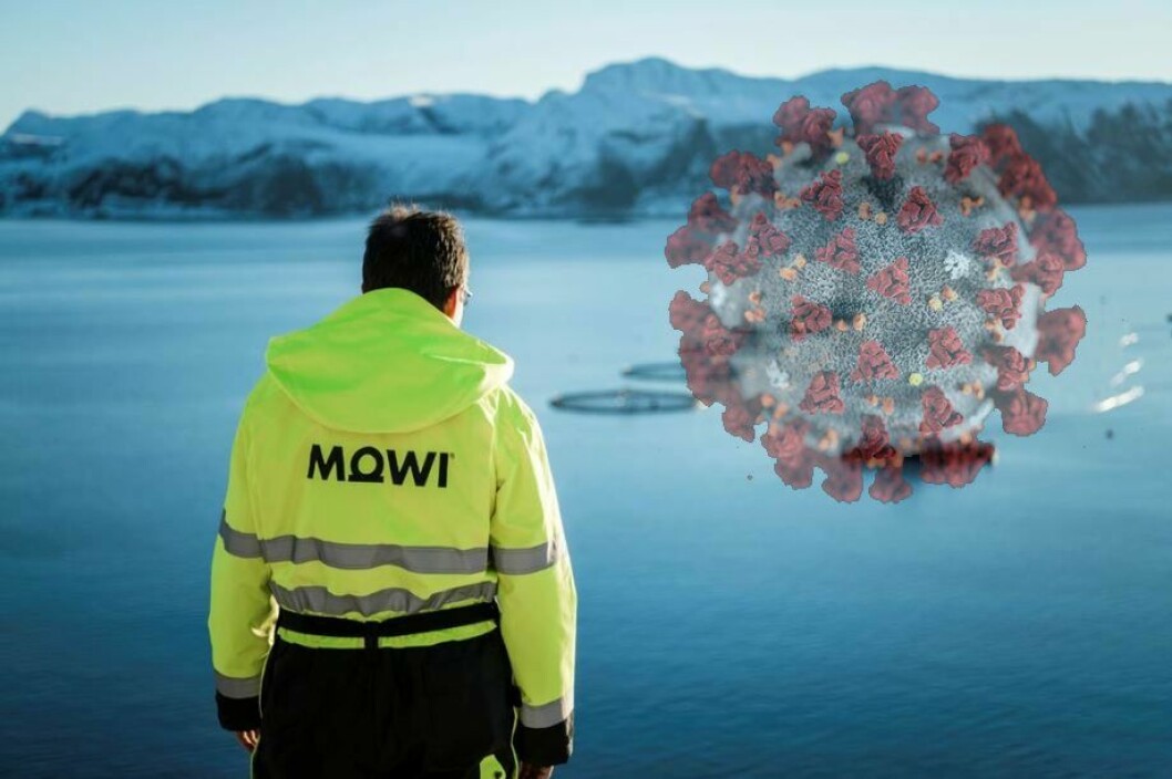 Mowi mener at etterspørselen etter laks er på vei til full friskmelding ettersom Covid-19-tiltakene blir mindre restriktive. Originalfoto: Mowii
