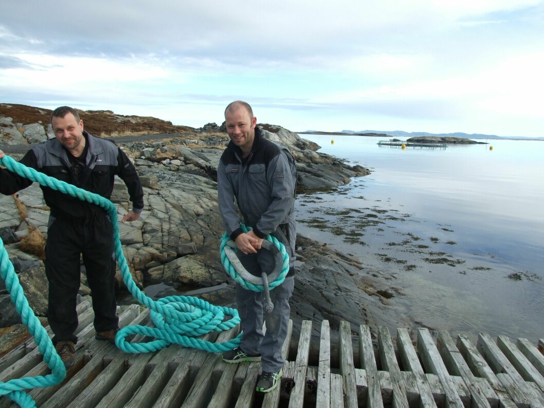 Sentrale aktører i merdprosjektet på Smøla. Svein Martinsen (til høyre) leder forskningsbedriften Nekton, mens Rune Iversen er daglig leder i Nekton Havbruk, matfiskselskapet som får ansvaret for produksjonen i den lukkede merden.