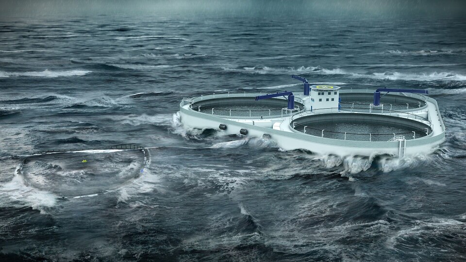 Formålet med konseptet Øymerd er å realisere flytende oppdrettsanlegg på eksponerte kystnære lokaliteter. Øymerd til høyre sammenlignet med konvensjonell merd til venstre. Foto: Astafjord Ocean Salmon Formålet med konseptet Øymerd er å realisere flytende oppdrettsanlegg på eksponerte kystnære lokaliteter. Øymerd til høyre sammenlignet med konvensjonell merd til venstre. Foto: Astafjord Ocean Salmon