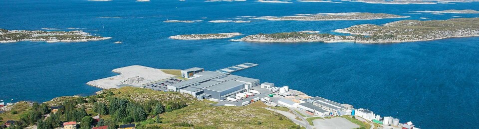 Inovamar, Salmars slakteri og bearbeidingsanlegg på Frøya. Foto: Salmar.