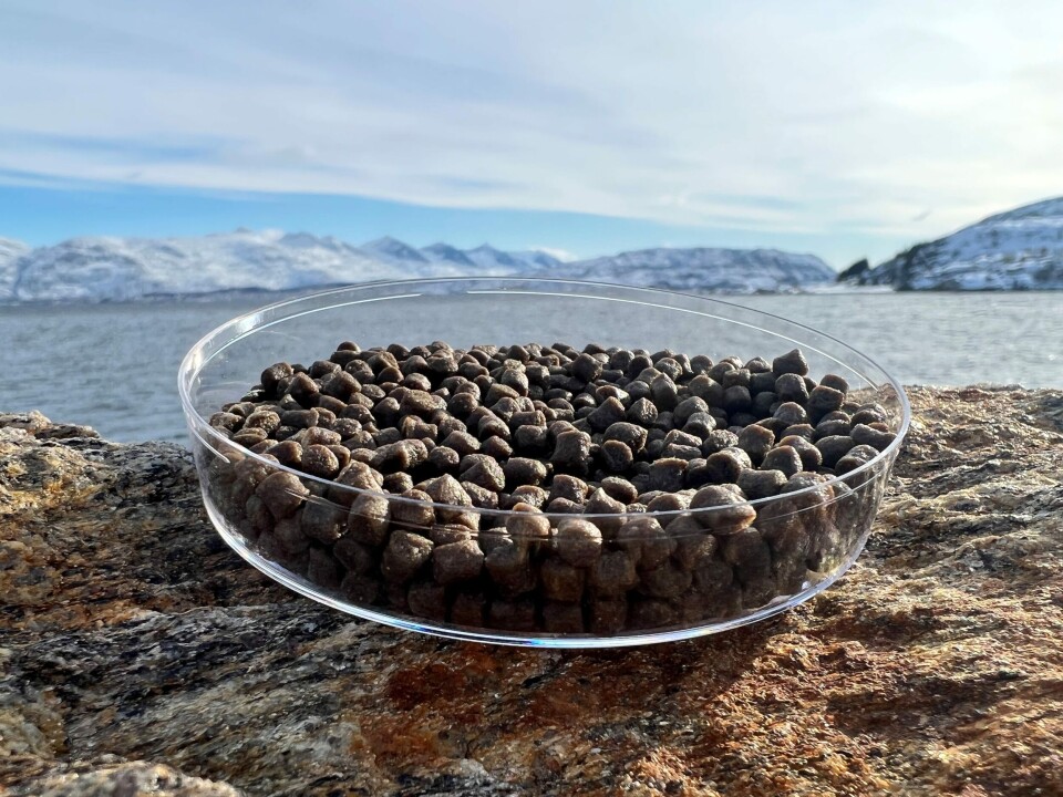 Fôr med krabbemel fra Skretting. Foto: Skretting