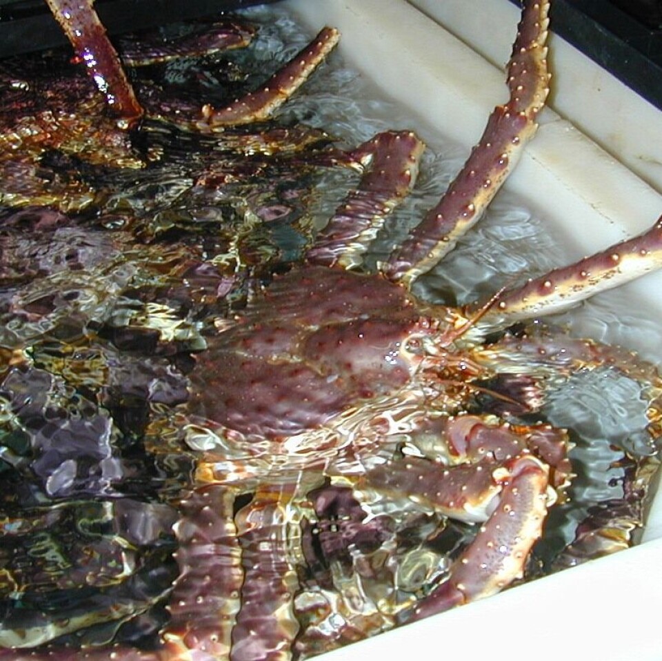 kongekarbbe