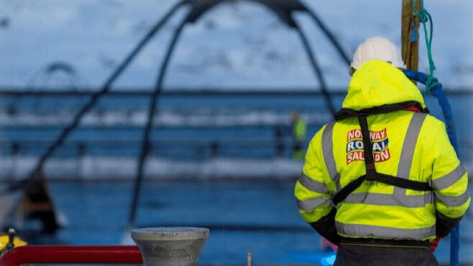 NRS fikk en operasjonell EBIT per kg sløyd vekt på 16,53 kr mot 25,51 kr i tilsvarende kvartal i fjor. Illustrasjonsfoto: NRS.