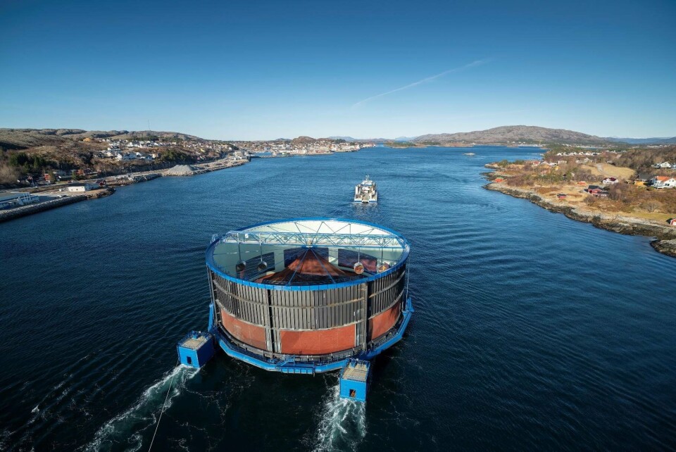 Aquatraz 2 er nettopp tatt i bruk av Midt-Norsk Havbruk. Foto: Steinar Johansen/NTS.