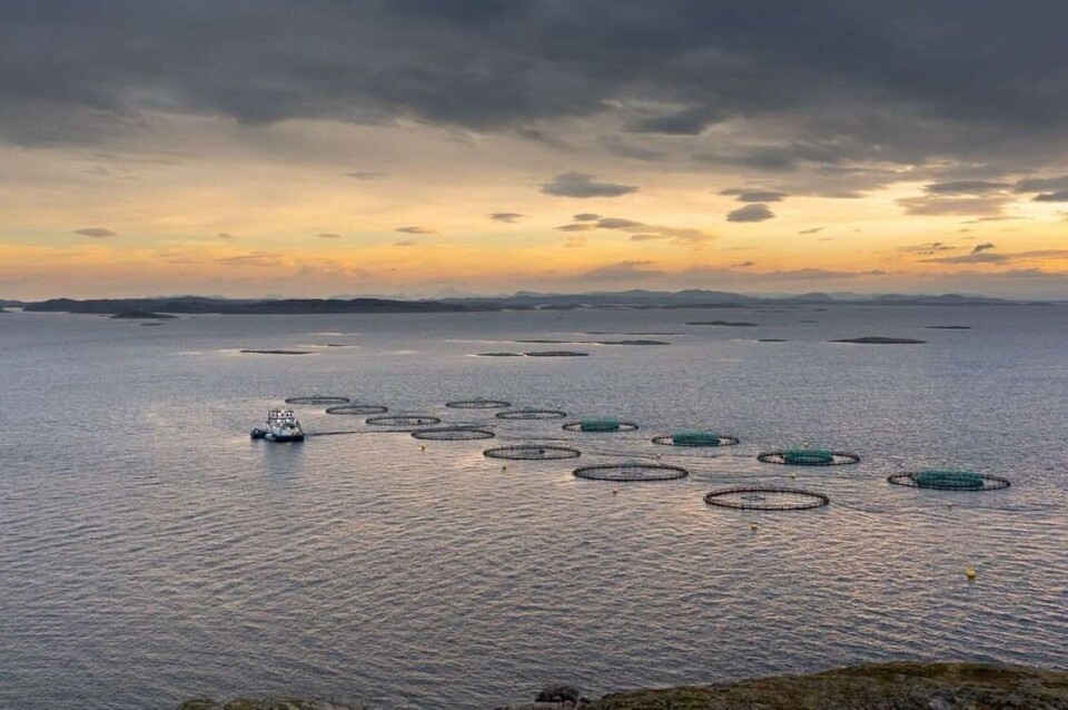 SalmoNor og NRS slås sammen og blir en betydelig aktør. Bildet viser SalmoNor sin lokalitet Bondøya. Foto: Hentet fra NTS sin Q4 rapport 2021