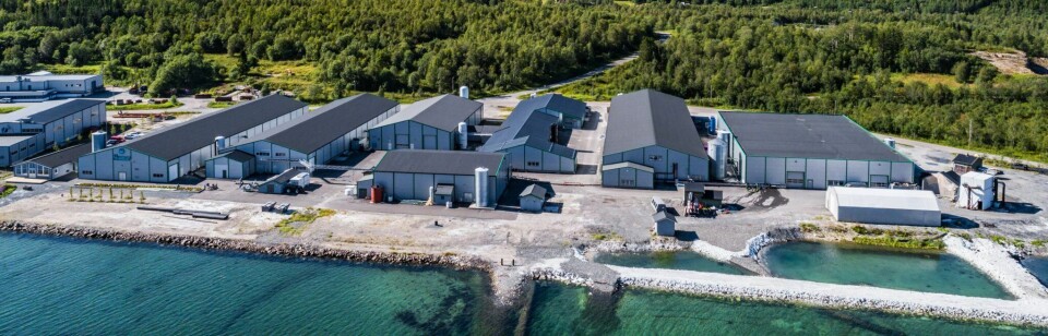 Oversiktsbilde av Sisomar-fabrikk. Foto: Sisomar AS