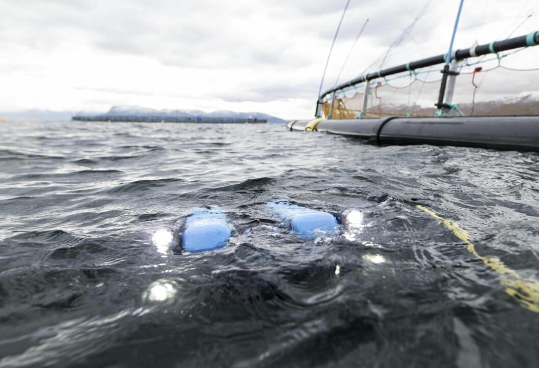 Njord Aqua sin ROV. Prosjektet har en ramme på 2,25 millioner norske kroner. Foto Njord Aqua