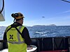 Person i gul refleksvest og hjelm står på dekk og ser ut mot havet.