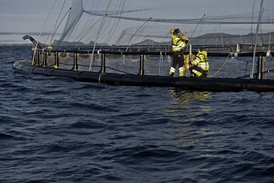 Avtalen mellom Mowi og Akva Group, som ble signert denne uken, omfatter innkjøp av standardprodukter, reservedeler og serviceoppdrag. Foto: AKVA Group.