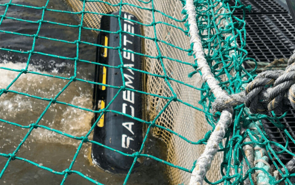 Mowi Irland har lagt inn en bestilling på den norske vakseroboten Racemaster. Foto: Mowi