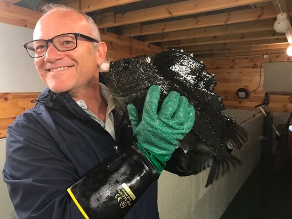 Grunnlegger av Ocean Matters, Werner Forster, er glad for å bli en del av Mowi-familien. Foto: Ocean Matters.