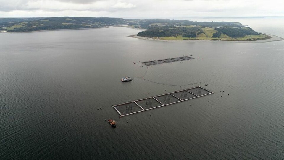 Det var fra denne Mowi-lokaliteten, kalt Punta Redonda at det rømte 690 000 atlantisk laks i 2018. Mowi mener fisken ikke har overlevd i det fri, da den ikke har klart å ta til seg føde. Foto: Mowi Chile.