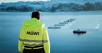 Mowi topper bærekraftliste