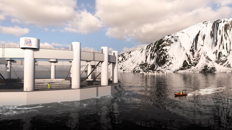 Arbeidet med Artic Offshore Farming startet i 2015, og målsetningen er at fisken skal være i sjøen høsten 2020. Foto: NRS.
