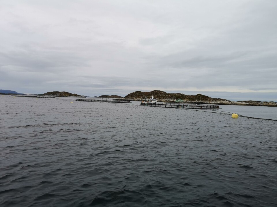 Bildet er ikke tatt i sammenheng med saken. Illustrasjonsfoto: Kyst.no