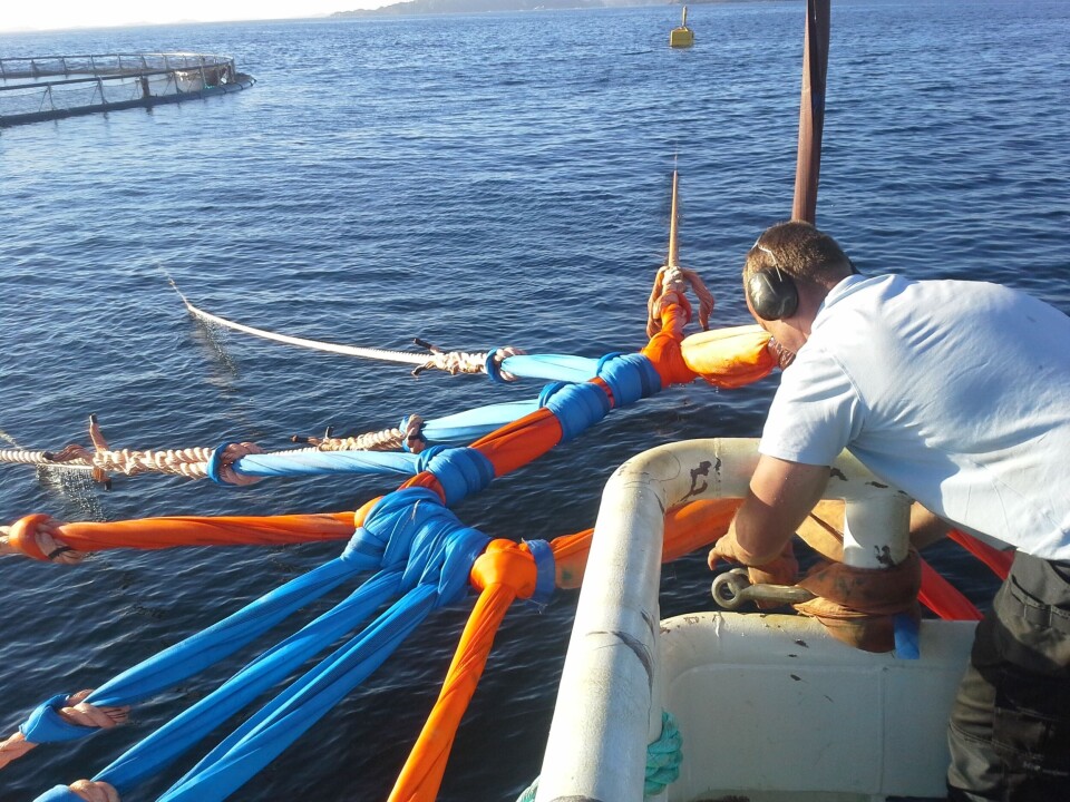 FlexiLink er Mørenot sin patenterte løsning innen fortøyningssystem til oppdrett. Foto: Mørenot.