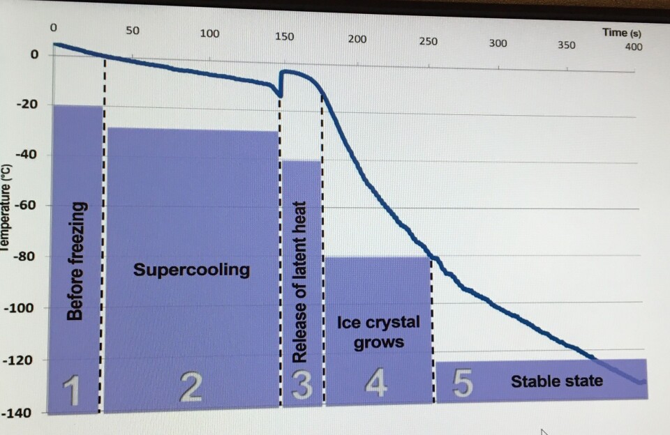Her kan man se hvilken temperatur melken gjennomgår under innfrysing. Foto: Benchmark Genetics.