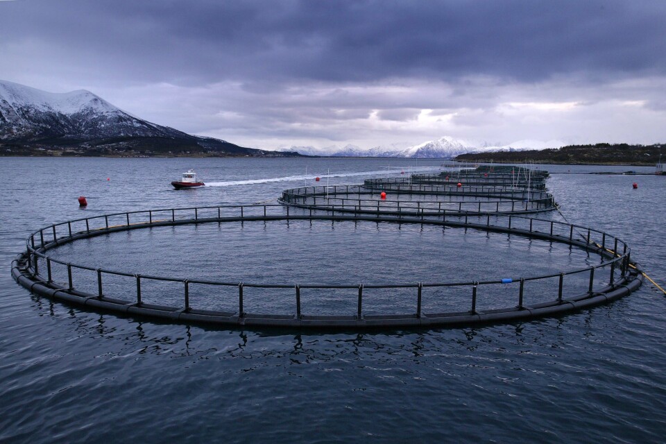Nordlaksl-lokalitet. Foto: Nordlaks.