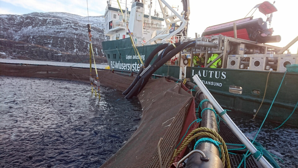 Kvarøy har inngått en ettårig avtale med avlusingsselskapet Rent Havbruk på Smøla om bruk av avlusingsfartøyet MS «Lautus». Foto: Rent Havbruk