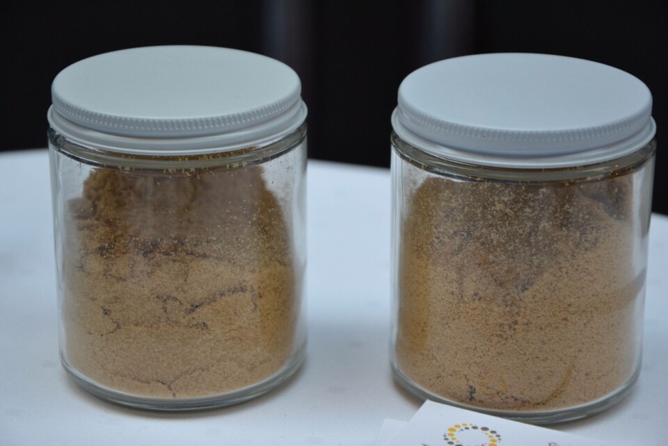 Algemelet blir produsert i Brasil helt uten sollys. Foto: Linn Therese Skår Hosteland