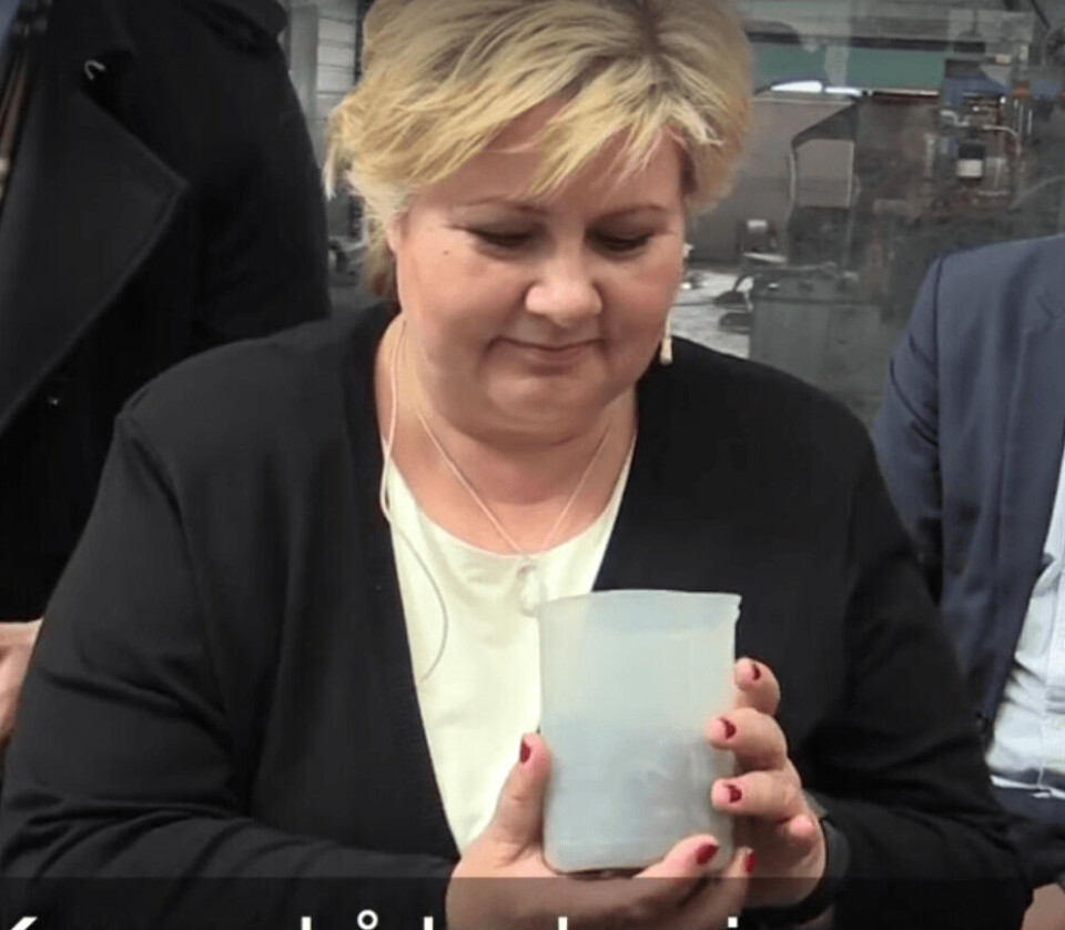 Her får statsministeren se det nye fiskefôret som er laget av fabrikkrøyk ved Finnsnes i Troms. Foto: Skjermdump/UiT.