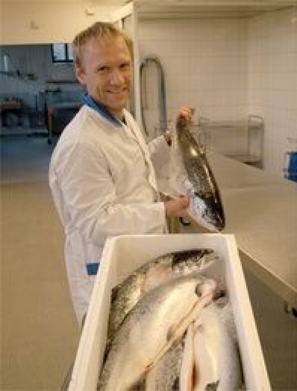 Fondsfinans tror lakseprisen vil komme under 30 kroner på høsten. Foto: Vegard Stensvold
