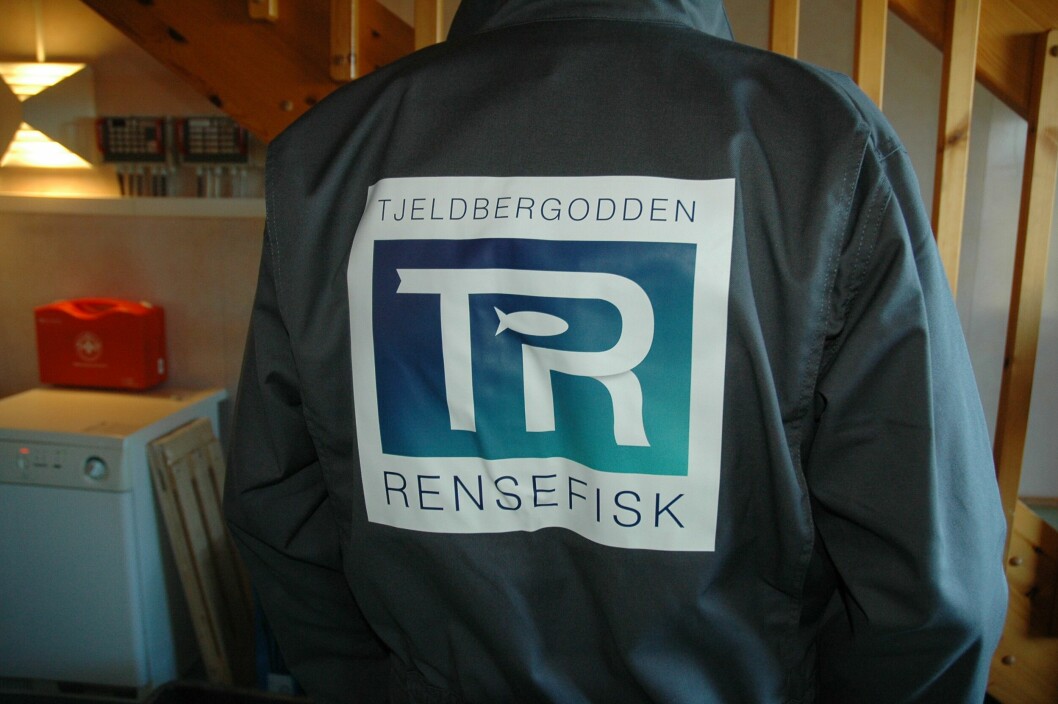 Tjeldbergodden Rensefisk har stort fokus på å unngå sykdom i sin rognkjeksproduksjon. Foto: Tjeldbergodden Rensefisk.