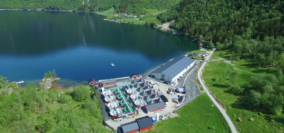 Osland Settefisk AS ligg dramatisk til under høge fjell i Sogn, men har alltid trygg leveranse av straum med reservekraft frå Østerbø. Foto: Jan Egil Nygard