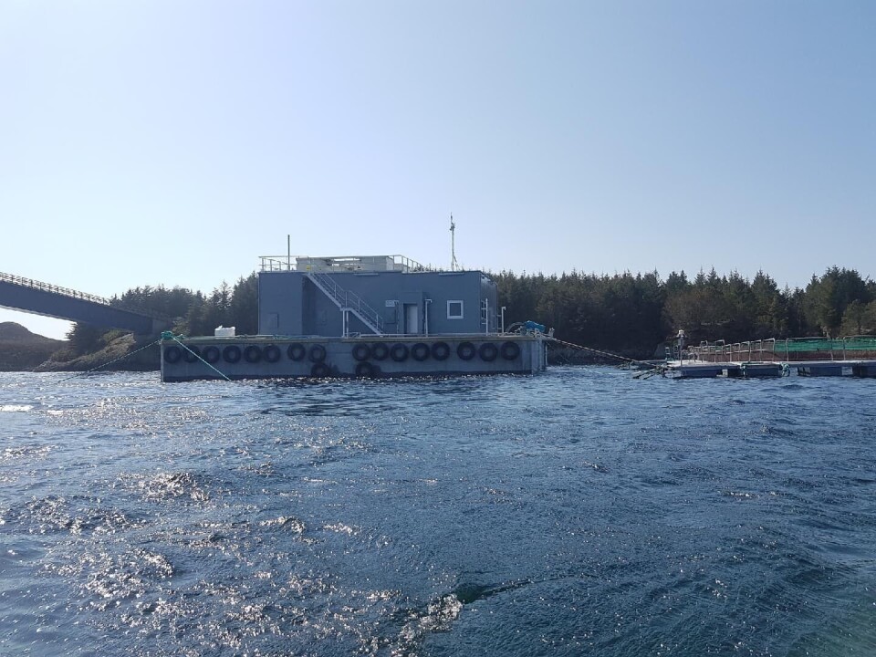 Backe Bergen har levert ny fôringsflåte til Landøy Fiskeoppdrett, og betongflåten er utstyrt med fôringsanlegg med to linjer. Foto: Helge Landøy. Klikk for større bilete.