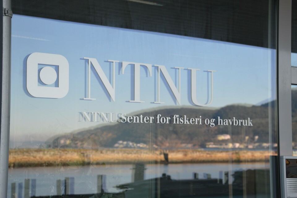 NTNU, Fiskeri og havbruk
