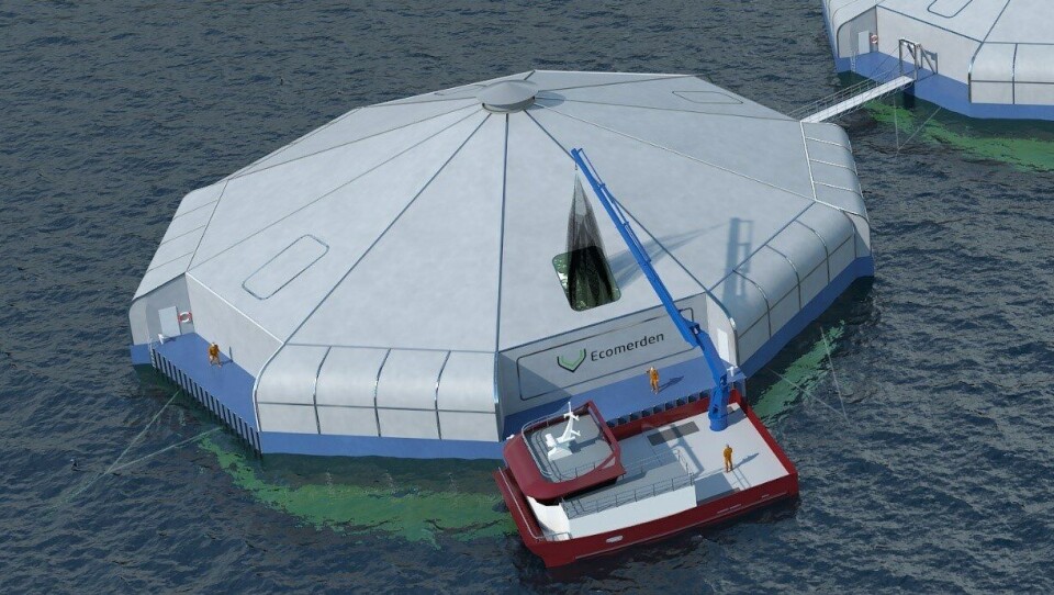 Den nye pilotmerden. Foto: Ecomerd