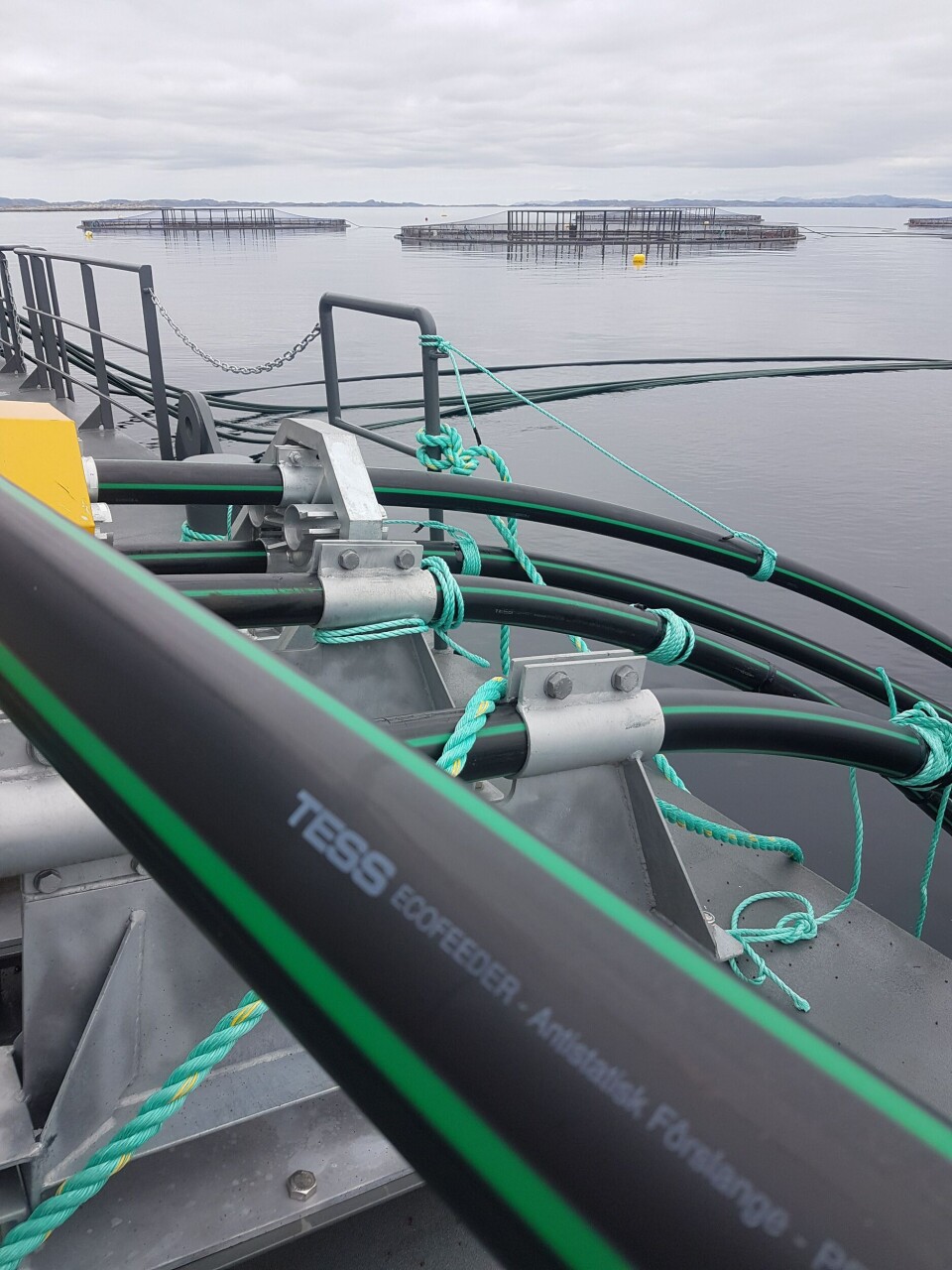 TESS ECOFEEDER settes ut hos Midt-Norsk Havbruk AS. Foto: Tess.