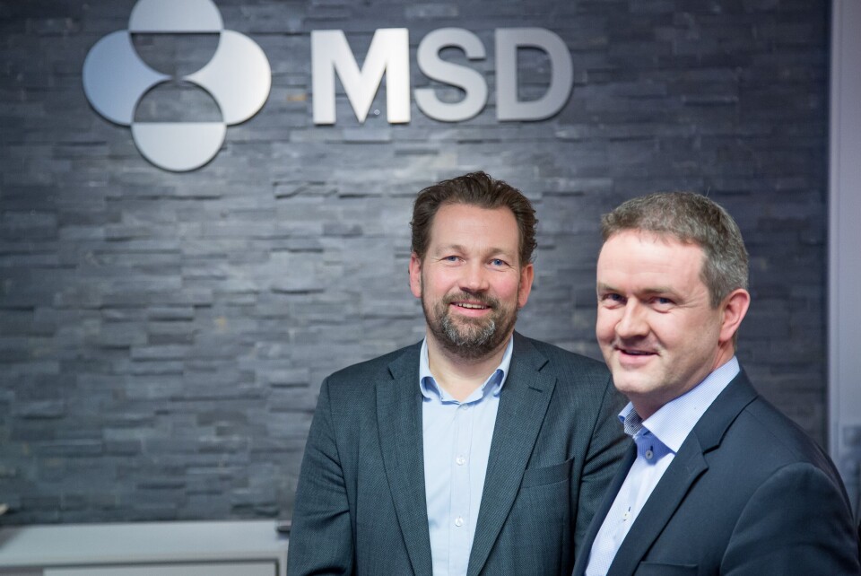 Forskningsdirektør Petter Frost og daglig leder Johan Kvalheim i MSD Animal Health sier til kyst.no at de har vært forberedt på konkurranse på salg av PD-vaksiner i flere år. Foto: MSD.