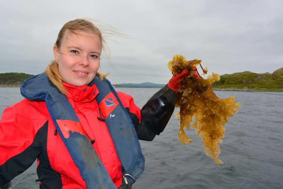 Prosjektleder Tonje Urskog. Foto: Val FoU AS Prosjektleder Tonje Urskog. Foto: Val FoU AS
