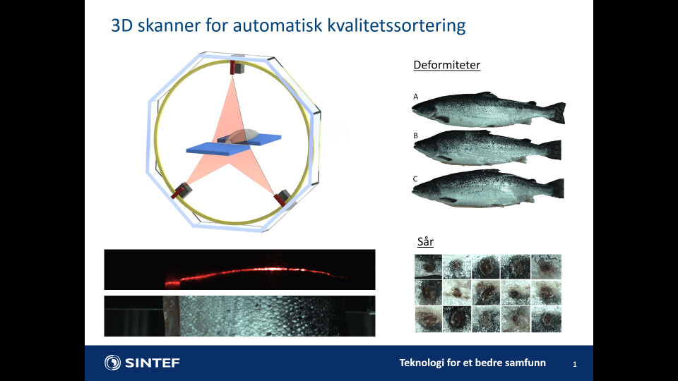 Vaksinemaskinen skal  kunne vaksinere alle størrelser og de fleste arter med en høy kapasitet.