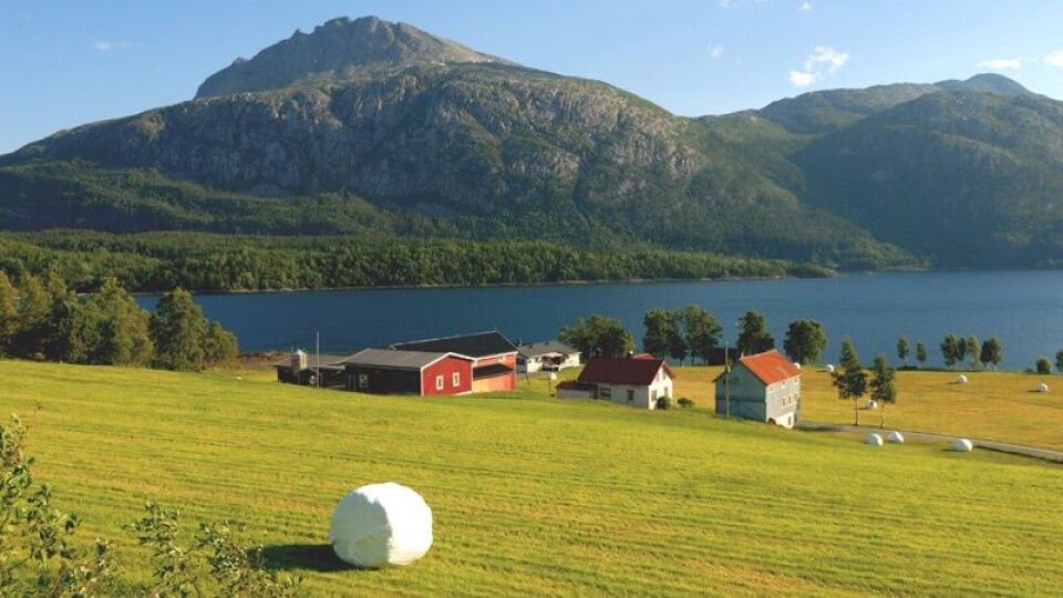 Nordisk ministerråd lanserer samarbeidsprogrammet til Ministerrådet for fiskeri, havbruk, jordbruk, mat og skogbruk for 2017-2020. Foto: Colourbox
