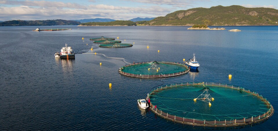Lavere temperaturer i sjøen førte til en reduksjon i produksjonen til Eidesvik Laks. Foto: Eidesvik Havfiske