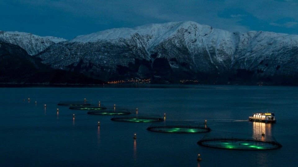 Phillips LED-lys på lokaliteten Saltkjelen. Foto: Lingalaks
