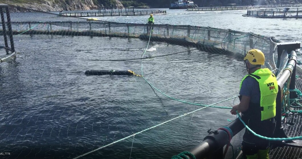 SeaNest har inngått stor avtale med Nova Sea. Oppdrettsselskapet sitt anlegg på Rødøy fikk levert SeaNest sine leppefiskskjul tilbake i 2018, og er nå ett av anleggene som utvider SeaNest-bruken ytterligere. Foto: Sea Nest.