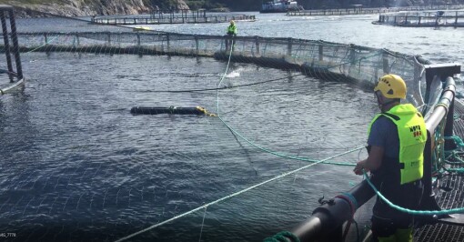 Leppefiskskjul: SeaNest med storsalg til Nova Sea