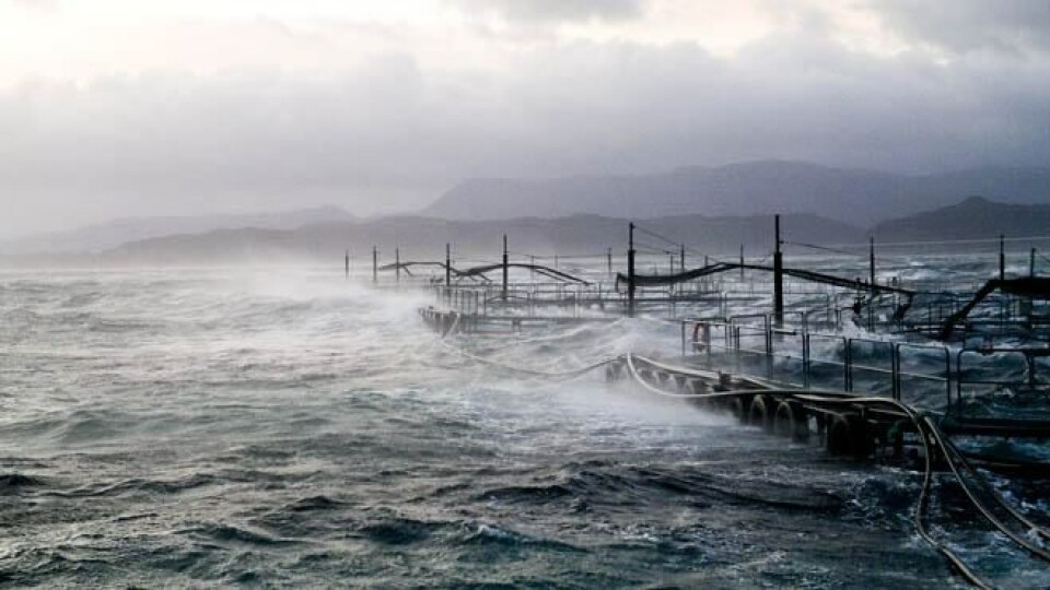 Storm ved visningsanlegg i Hardanger.