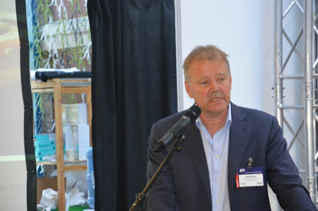 Stig Nilsen, konserndirektør for  havbruk i Lerøy Seafood Group. Foto: Therese Soltveit.