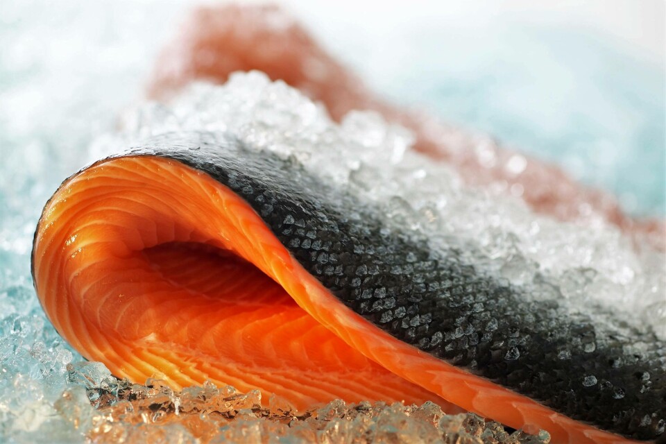 Lerøy Seafood Group fikk økte produksjonskostnader i første kvartal grunnet korona. Foto: Lerøy Seafood Group.