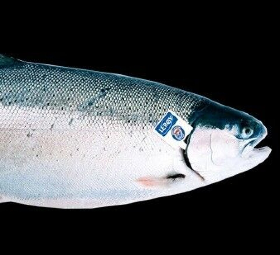 Ørreten til Lerøy Seafood Group ble lansert på det britiske markedet forrige uke. Foto: Lerøy Seafood Group.
