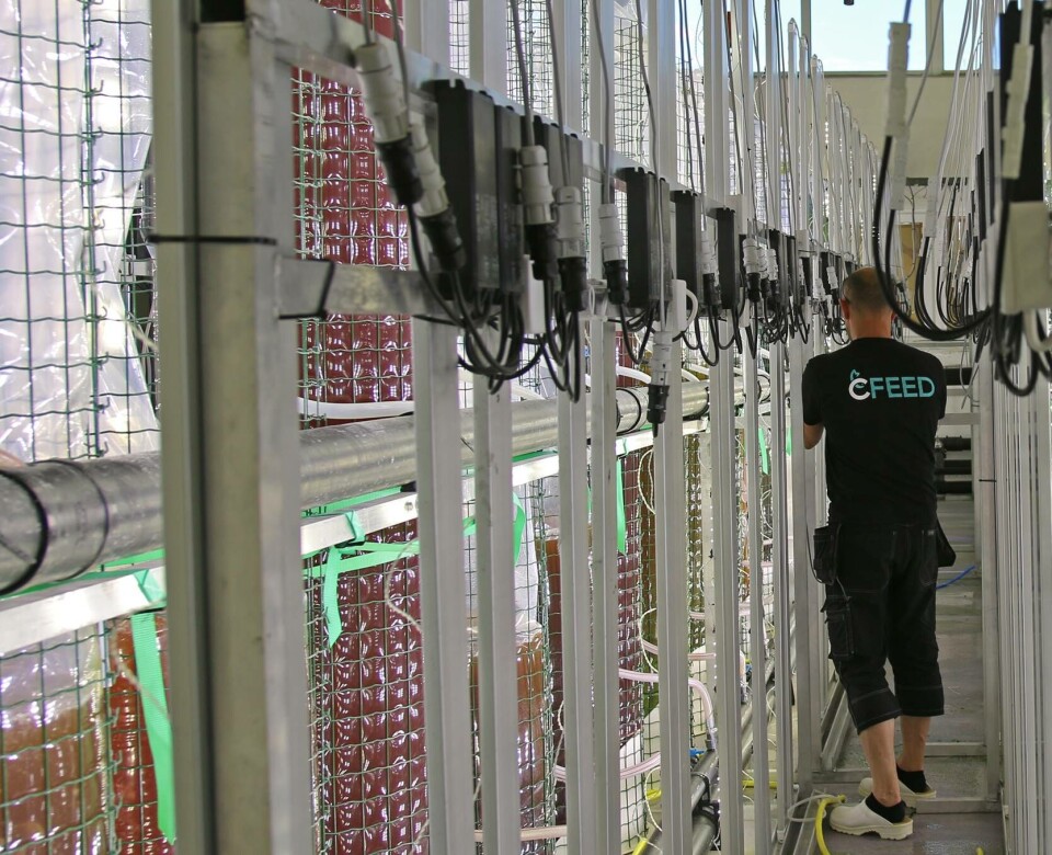 C-Feed produserer levendefôr med Sintef-teknologi. Foto: C-Feed.