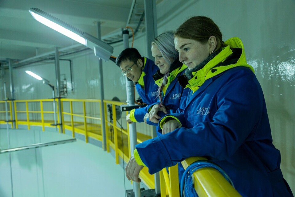 Fôringsteamet i Salmon Evolution Henrik Fang Luo, Christina V. Hjelvik og Liva Sandven (f.v). Foto: Ane S. Skarvøy, Skarvøy Media