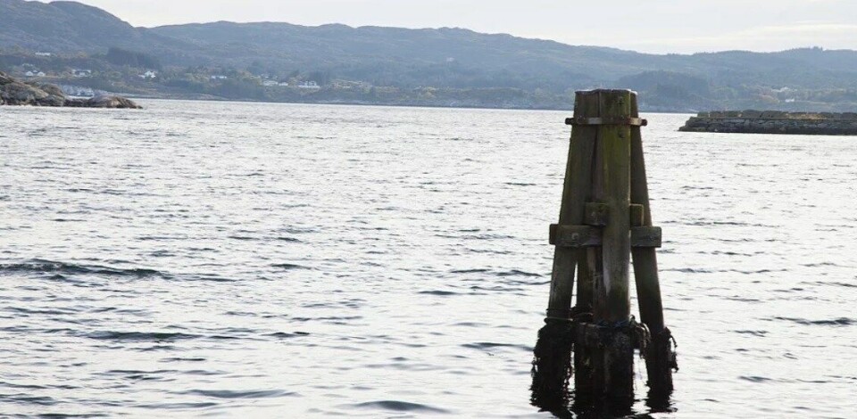 Foto: Electro Automation Austevoll.